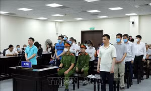 Xét xử vụ án buôn bán thuốc giả: Kiến nghị điều tra làm rõ trách nhiệm của cán bộ hải quan có liên quan