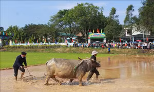Gìn giữ lễ hội văn hóa Tây Bắc trên quê hương Lâm Đồng