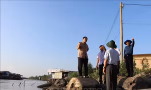 Bộ trưởng Nguyễn Xuân Cường kiểm tra tình hình sạt lở tại Cà Mau
