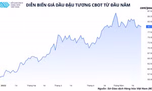Indonesia nối lại xuất khẩu dầu cọ, thế giới vẫn thiếu hụt dầu ăn!