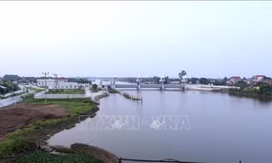 Thực thi Luật Bảo vệ môi trường (sửa đổi) - Bài cuối: Để những dòng kênh không bị bức tử
