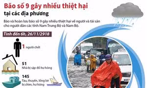 Bão số 9 gây nhiều thiệt hại tại các địa phương