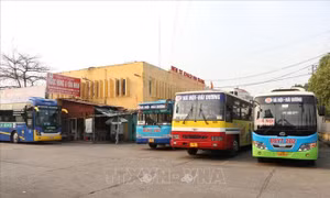Hà Nội đề nghị giảm 50% lượng khách đi xe buýt để phòng dịch COVID-19