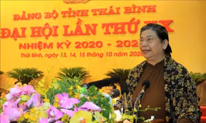 Đồng chí Tòng Thị Phóng: Thái Bình cần coi trọng hơn nữa 'tam nông'