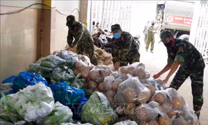 Quân khu 9 thu mua nông sản tại Sóc Trăng hỗ trợ người dân TP Hồ Chí Minh