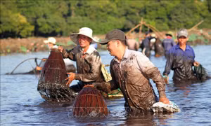 Hội 'phá trằm' ở Quảng Trị