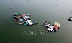 Phê duyệt Quy hoạch tổng hợp lưu vực sông Sê San