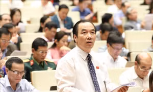 Người gây ô nhiễm môi trường phải bị truy tố trước pháp luật