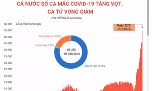 Số ca mắc mới COVID-19 tăng vọt, số ca tử vong giảm