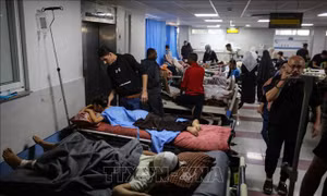 Căng thẳng tại Trung Đông: Hàng trăm người đã được sơ tán y tế khỏi Gaza