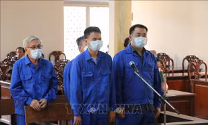 Xét xử vụ chi 20 tỷ đồng để 'điều chuyển' Giám đốc Công an tỉnh An Giang