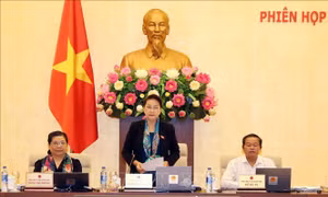Phiên họp thứ 29 của Ủy ban Thường vụ Quốc hội khai mạc ngày 10/12