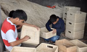 Tìm chỗ đứng cho sản phẩm mây tre đan Triệu Đề