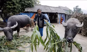 Kết quả giảm nghèo nhanh nhưng chưa bền vững