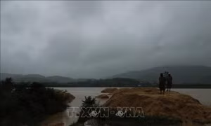 Các hộ dân vùng lòng hồ Krông Pách Thượng được di dời đến nơi an toàn