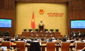 Tận dụng lợi thế, nâng cao năng lực cạnh tranh của doanh nghiệp Việt Nam