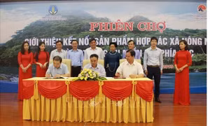 Nâng cao hiệu quả hoạt động hợp tác xã nông nghiệp