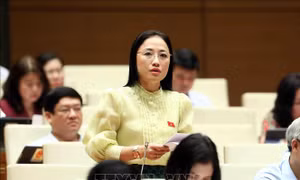 Bên lề Kỳ họp thứ 5, Quốc hội khoá XV: Gỡ vướng trong hoạt động đấu thầu