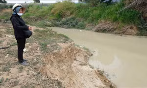  Lâm Đồng yêu cầu đơn vị khai thác cát trên sông Đa Nhim khắc phục vi phạm