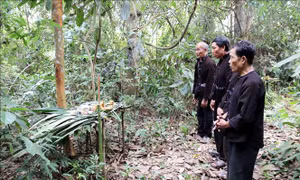 Lễ cúng rừng - nét văn hóa độc đáo lâu đời của dân tộc Lự
