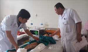 Phần lớn nạn nhân vụ sạt lở núi, sập nhà ở Khánh Hòa đã qua cơn nguy kịch