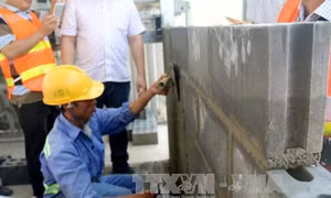 Xu hướng hoán đổi ngôi giữa vật liệu xanh và dòng truyền thống