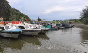 Nếu an toàn về dịch, có thể mở lại các tuyến vận tải thủy đi các tuyến đảo trong tỉnh Quảng Ninh