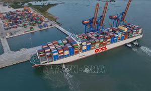 Bà Rịa - Vũng Tàu phấn đấu nằm trong nhóm 5 địa phương phát triển kinh tế biển hàng đầu cả nước