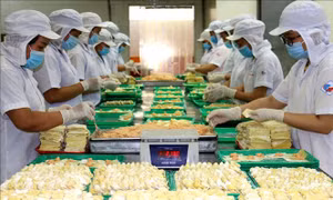 TP Hồ Chí Minh: Cần 136.000 - 150.000 chỗ làm việc từ nay đến cuối năm 