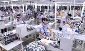 Đề xuất tiền lương làm căn cứ đóng bảo hiểm xã hội bằng 70% thu nhập