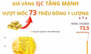  Giá vàng SJC tăng mạnh, vượt mốc 73 triệu đồng/lượng