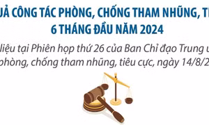 Kết quả công tác phòng, chống tham nhũng, tiêu cực 6 tháng đầu năm 2024