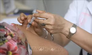 Quỹ vaccine phòng COVID-19 nhận được 8.090 tỷ đồng