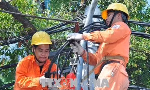 Những người 'yêu điện' sẵn sàng chiến đấu với 'chảo lửa'