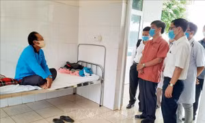 Đắk Lắk kiểm soát, không để các loại dịch bệnh lây lan 