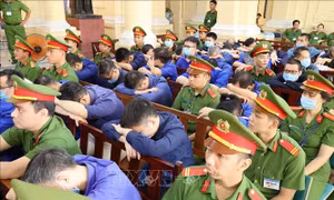 Vụ án Vạn Thịnh Phát: Nhiều bị cáo có hành vi vi phạm thụ động, theo chỉ đạo