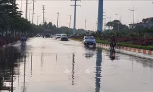 Vĩnh Phúc: Tập trung triển khai dự án quản lý nguồn nước và ngập lụt