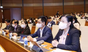 Thông qua Luật Sửa đổi, bổ sung một số điều của Bộ luật Tố tụng hình sự