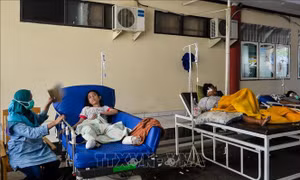 Hàng nghìn nạn nhân được đưa tới Nam Sulawesi sau thảm hoạ kép tại Indonesia