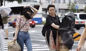 Hàng chục người bị thương do bão tại Nhật Bản