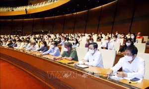 Thông qua Nghị quyết thành lập Đoàn giám sát chuyên đề về công tác quy hoạch