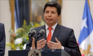 Peru kết án hơn 11 năm tù đối với cựu Tổng thống Pedro Castillo vì tội nổi loạn