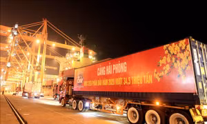 Cảng Hải Phòng đón mã hàng vào thời khắc đầu tiên của năm mới 2020