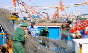 Ứng phó bão 13, Hà Tĩnh cấm biển từ 17 giờ ngày 13/11
