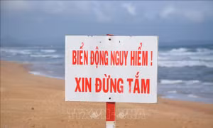 Phú Yên: Tăng cường biện pháp đảm bảo an toàn cho du khách tại các bãi biển