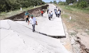 Đê biển Tây ở Cà Mau bị sụt lún nghiêm trọng