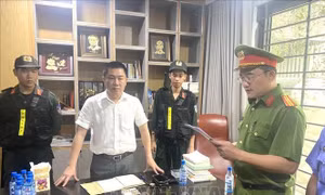 Khởi tố bị can, bắt tạm giam Chủ tịch Hội đồng quản trị Công ty cổ phần đầu tư LDG