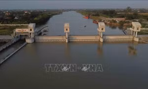 Phát triển Bắc Hưng Hải thành mô hình mẫu về thủy lợi hiện đại