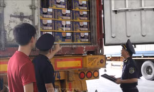 Triển khai các phương án, biện pháp chống ùn ứ cửa khẩu
