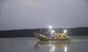 Ngư dân thận trọng, tránh va chạm tàu, thuyền khi di chuyển trong điều kiện sương mù dày đặc